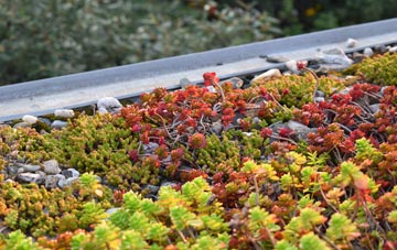 the cost of Bridlington green roof installation