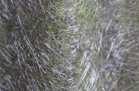 Bridlington fibreglass roof work